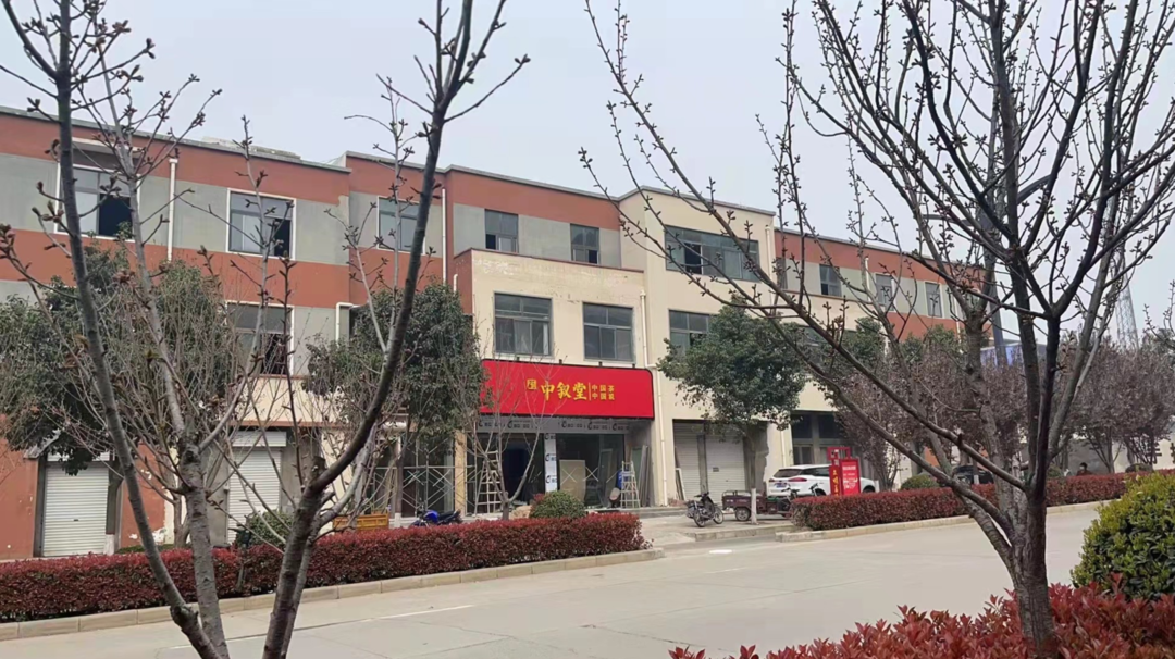 人物丨张思帆：左手咖啡右手茶，中国茶人新生代